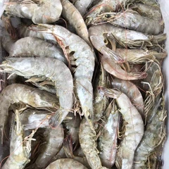 Camarones congelados